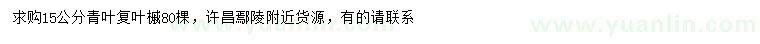 求購15公分青葉復葉槭