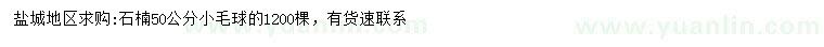 求購50公分石楠球
