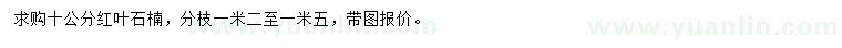 求購(gòu)10公分紅葉石楠