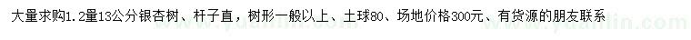 求購1.2米量13公分銀杏