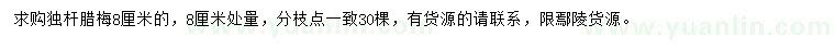 求購8公分獨桿臘梅
