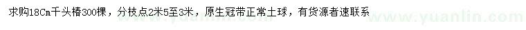 求購18公分千頭椿