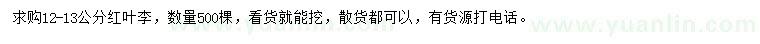 求購(gòu)12-13公分紅葉李