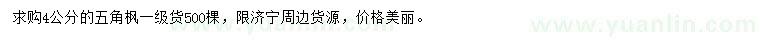 求購(gòu)4公分五角楓