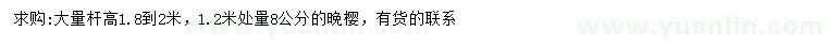 求購(gòu)1.2米量8公分晚櫻