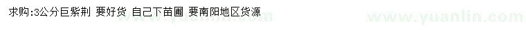 求購3公分巨紫荊