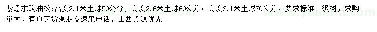 求購(gòu)高2.1、2.6、3.1米油松