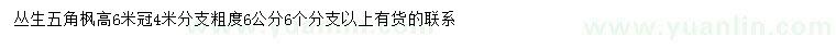 求購高6米叢生五角楓