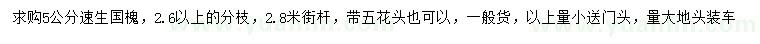 求購5公分速生國槐