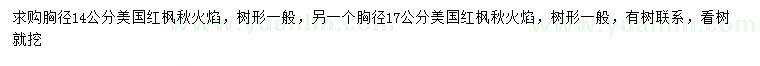 求購胸徑14、17公分美國紅楓秋火焰