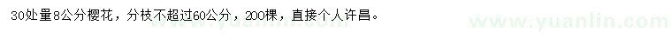 求購8公分櫻花
