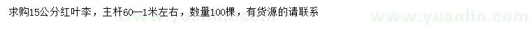 求購15公分紅葉李