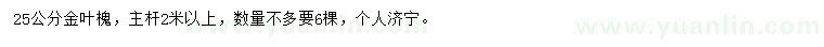 求購25公分金葉槐