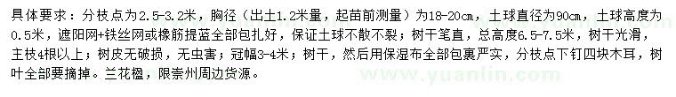 求購胸徑18-20公分藍花楹
