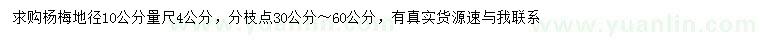 求購10量4公分楊梅