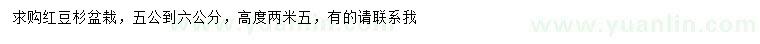 求購5-6公分紅豆杉