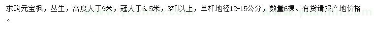 求購高大于9米叢生元寶楓