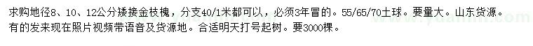 求購(gòu)地徑8、10、12公分金枝槐