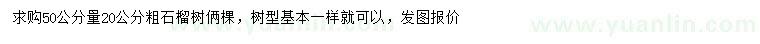 求購(gòu)50量20公分石榴樹