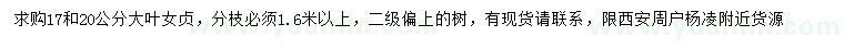 求購17、20公分大葉女貞