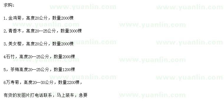 求購(gòu)金雞菊、清香木、美女櫻等