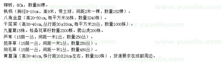 求購柳樹、楓楊、八角金盤等