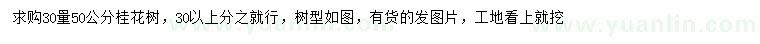 求購30量50公分桂花