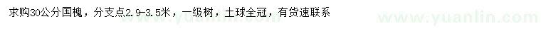 求購30公分國槐