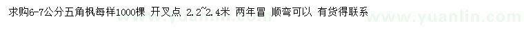 求購6-7公分五角楓