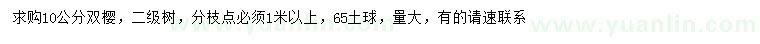 求購10公分雙櫻