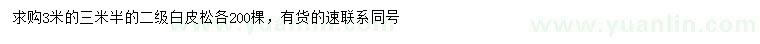 求購3、3.5米白皮松