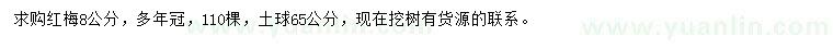 求購8公分紅梅