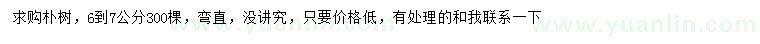 求購6-7公分樸樹