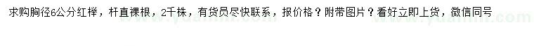 求購胸徑6公分紅櫸