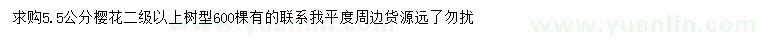 求購5.5公分櫻花