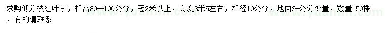 求購(gòu)3公分量10公分紅葉李