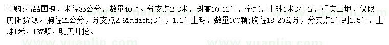 求購米徑35公分精品國槐