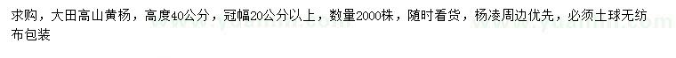 求購高40公分高山黃楊