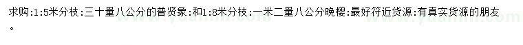 求購8公分普賢象櫻花、晚櫻