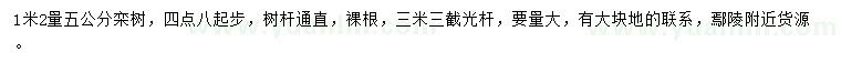 求購5公分欒樹