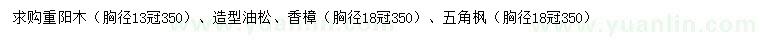 求購重陽木、造型油松、香樟等