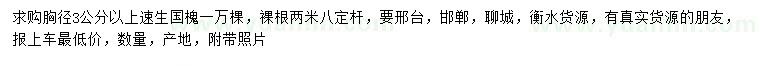 求購胸徑3公分以上速生國槐