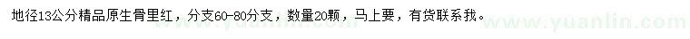 求購地徑13公分原生骨里紅