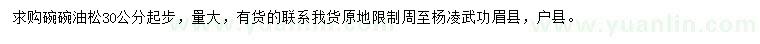 求購油松30公分