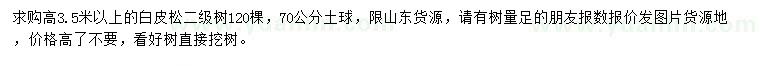 求購高3.5米以上白皮松