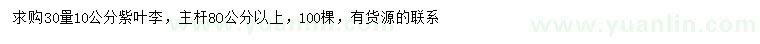 求購(gòu)30量10公分紫葉李