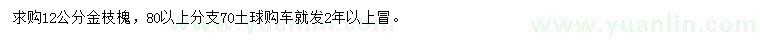求購(gòu)12公分金枝槐