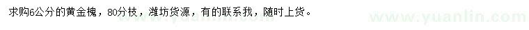 求購6公分黃金槐
