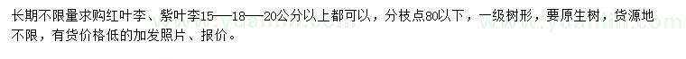 求購紅葉李、紫葉李
