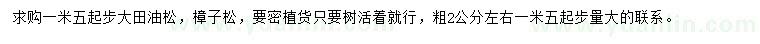 求購油松、樟子松